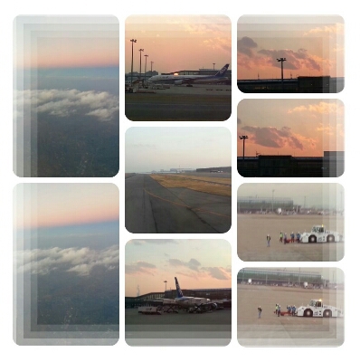 d0219834_204144.jpg