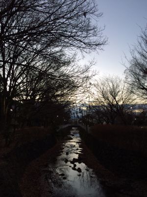 f0327534_123171.jpg