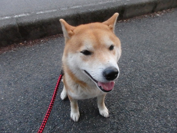 a0054240_04846.jpg