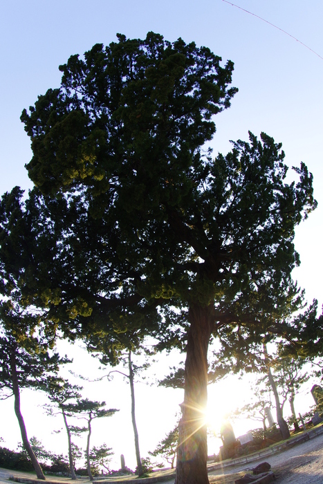d0185744_18463059.jpg