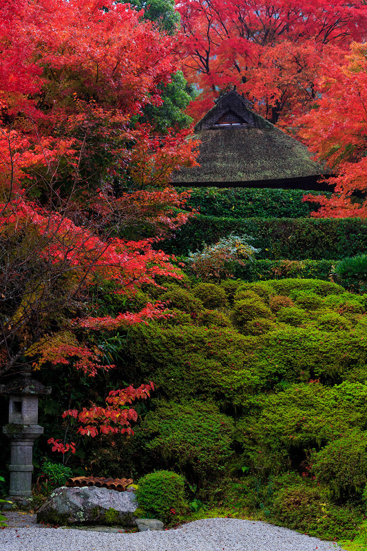 朱に染まる金福寺_f0155048_2334424.jpg