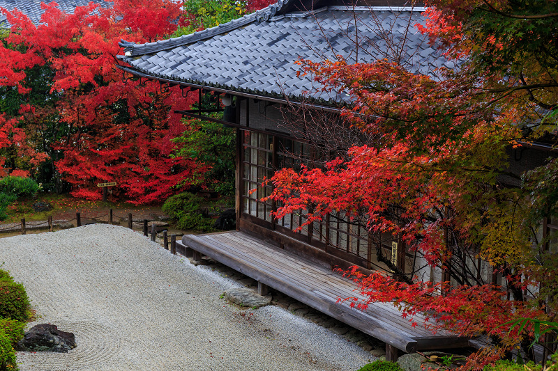 朱に染まる金福寺_f0155048_2341714.jpg