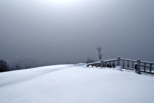 ☆2014.12.31 手稲山 (平和の滝コース)_e0105954_15171050.jpg