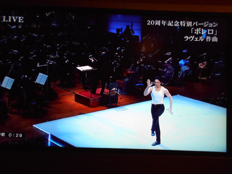 2015年 謹賀新年_e0109554_10565117.jpg