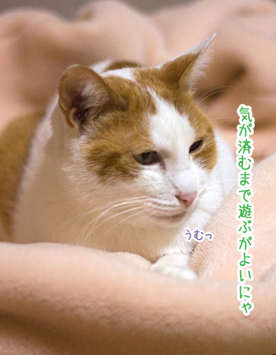 a0119470_21232051.jpg
