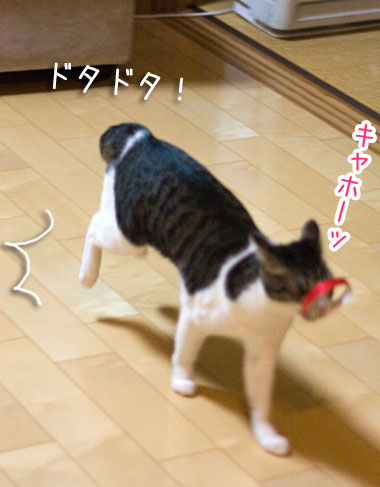 a0119470_21233112.jpg