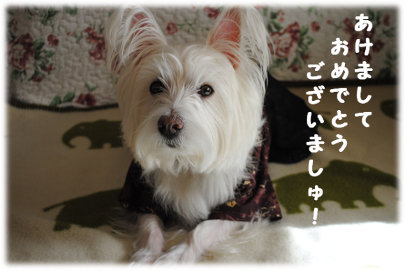 b0242873_02203745.png