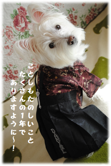 b0242873_02261100.png