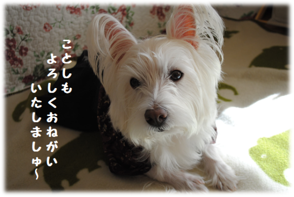 b0242873_02322194.png