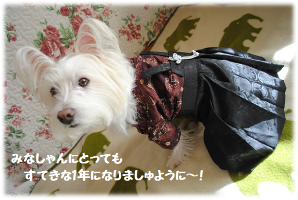 b0242873_02383043.png