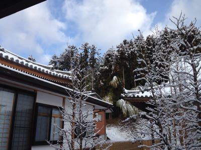 謹賀新春_a0274383_8553638.jpg