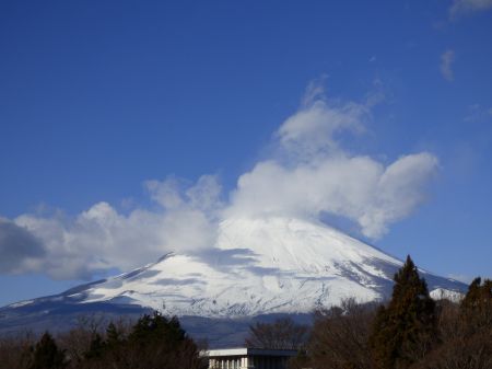 ２０１５年１月１日　　ＢＵＯＮ　ＡＮＮＯ！_b0098584_1714655.jpg