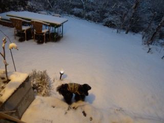２０１５年１月１日　　ＢＵＯＮ　ＡＮＮＯ！_b0098584_17184448.jpg