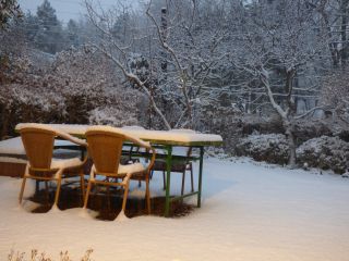 ２０１５年１月１日　　ＢＵＯＮ　ＡＮＮＯ！_b0098584_1719247.jpg
