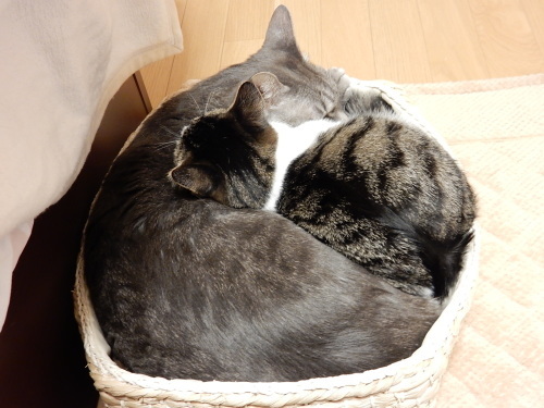 c0340786_09124246.jpg