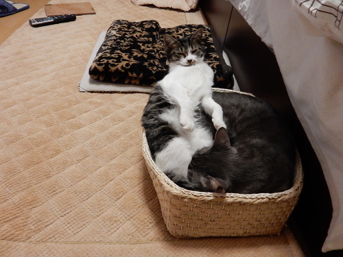 c0340786_09130443.jpg