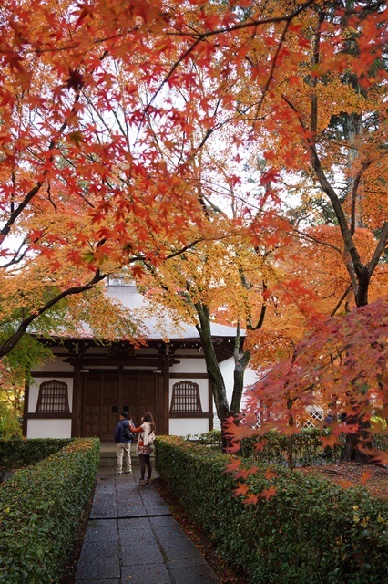 藤田八束の京都・真正極楽寺真如堂を訪ねて③_d0181492_17333332.jpg