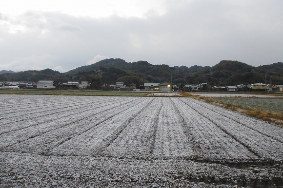 雪の元旦風景・千寿の楽しい歴史_a0137997_9411133.jpg