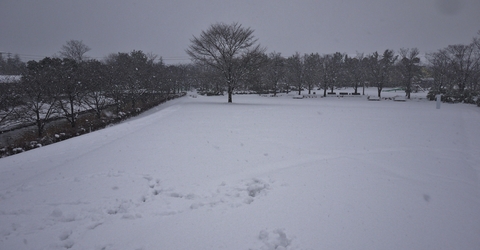 あけましておめでとうございます。_b0191701_15265279.jpg