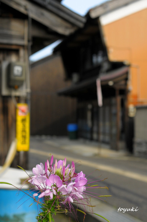 今庄宿～北国街道　北陸路最初の宿場町②～_d0226407_20580594.jpg