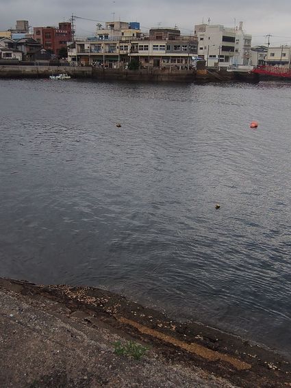 c0156908_9211167.jpg