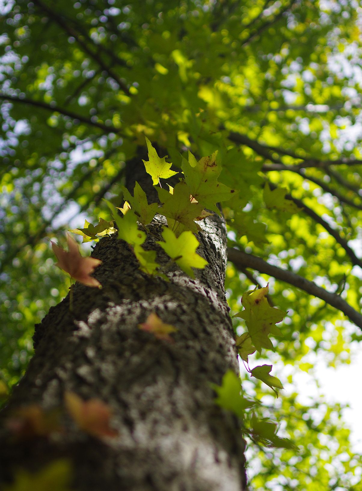 c0156908_9261689.jpg