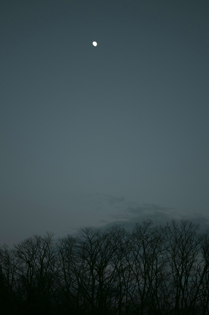 c0156908_94501.jpg