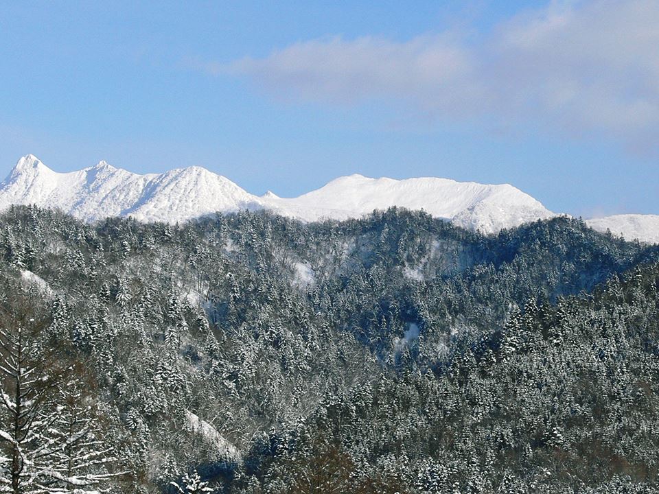 d0119909_9472548.jpg