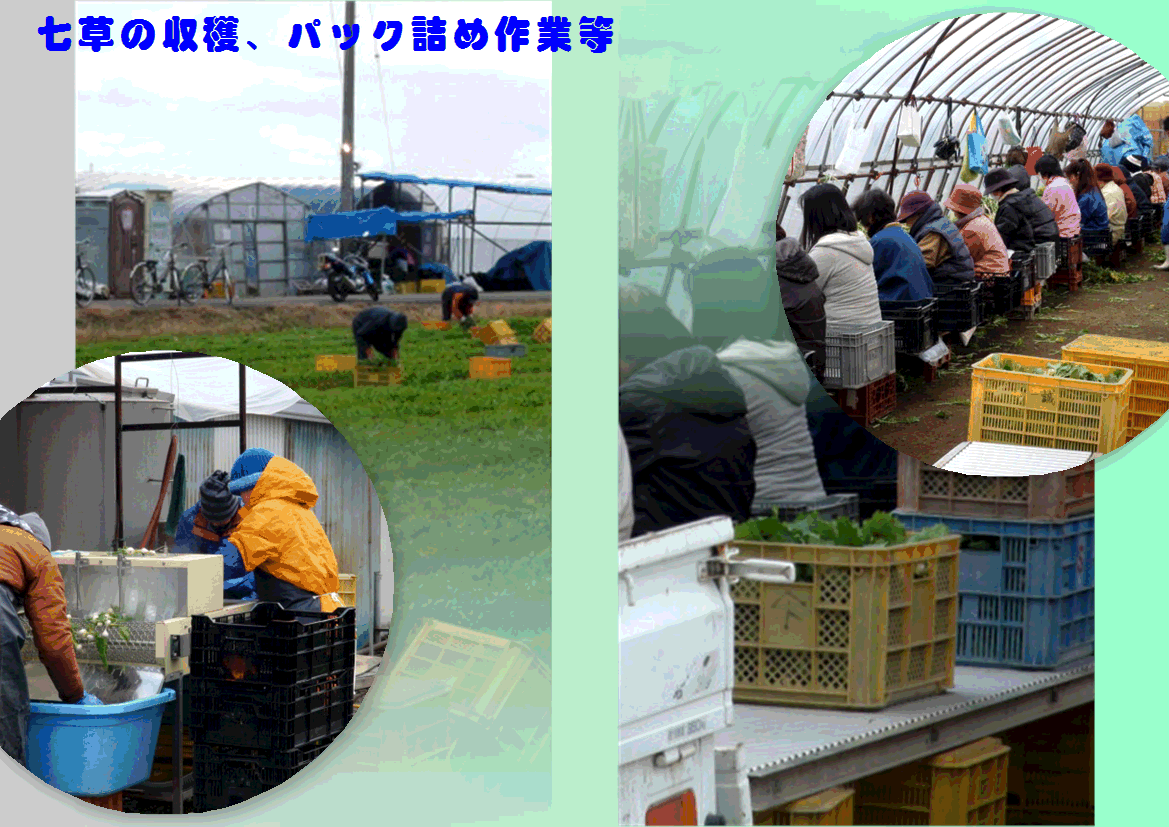 f0231709_0375816.gif