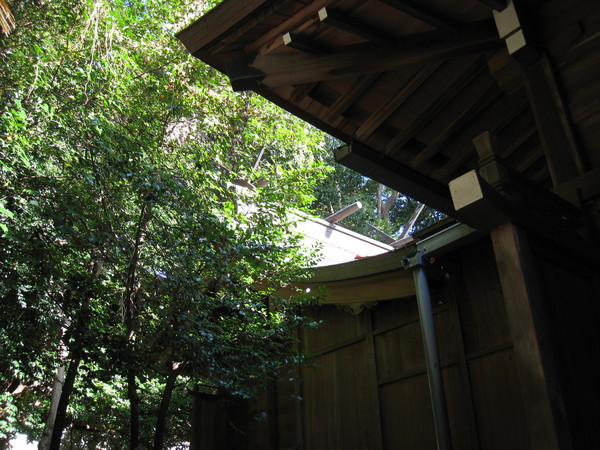 瑞丘八幡神社（みずおかはちまんじんじゃ、神戸市垂水区）_d0287413_1163269.jpg