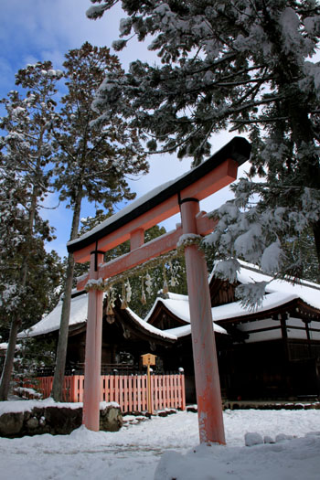 初もうで 上賀茂神社_e0048413_20244117.jpg
