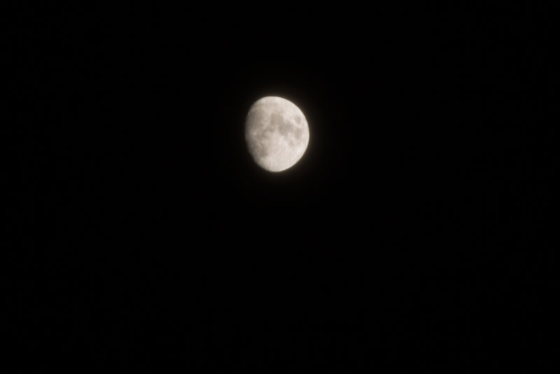 a0278914_457277.jpg