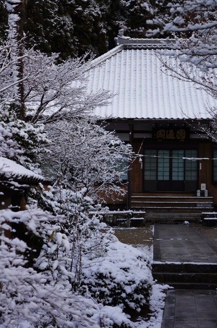 西尾　雪の安泰寺編_e0292414_09551899.jpg