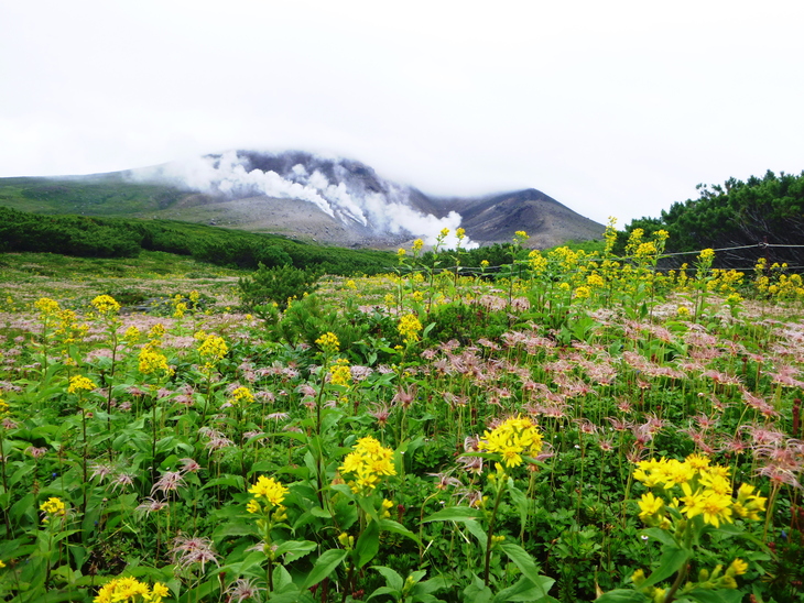 ２０１４年 登った山ベスト１０　　２位_d0170615_19515859.jpg