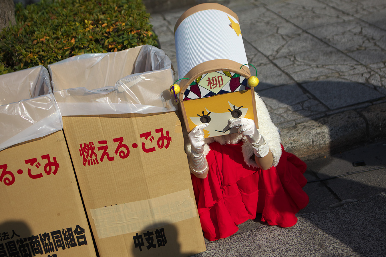 伊奈波神社初詣_c0115616_9351396.jpg