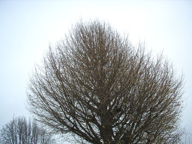 a0136725_17143736.jpg