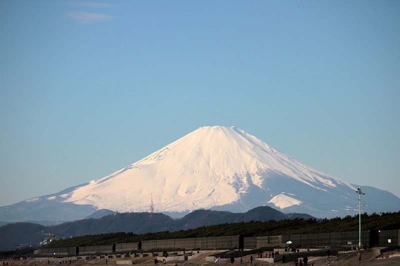 謹賀新年だにゃ_f0100825_12312571.jpg