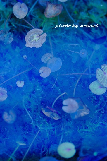 f0245725_14155549.jpg