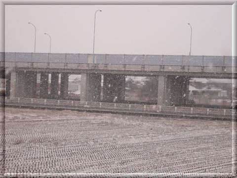 f0196231_1358559.jpg