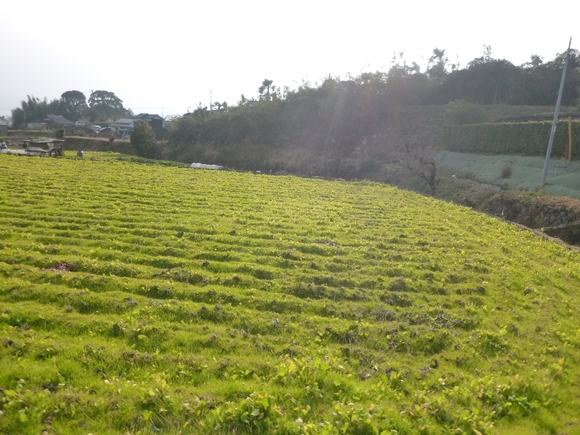 c0113733_19487.jpg