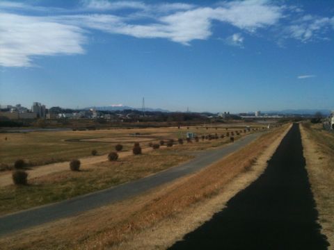 多摩川(多摩川台公園〜多摩川親水公園)(1月2日)_e0213636_23265564.jpg