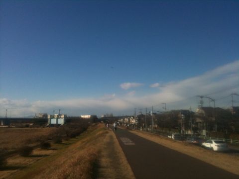 多摩川(多摩川台公園〜多摩川親水公園)(1月2日)_e0213636_23281979.jpg