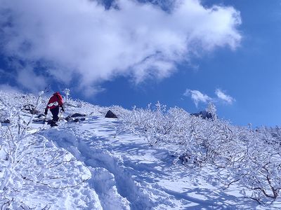 2015年の年頭に_b0032437_10531173.jpg