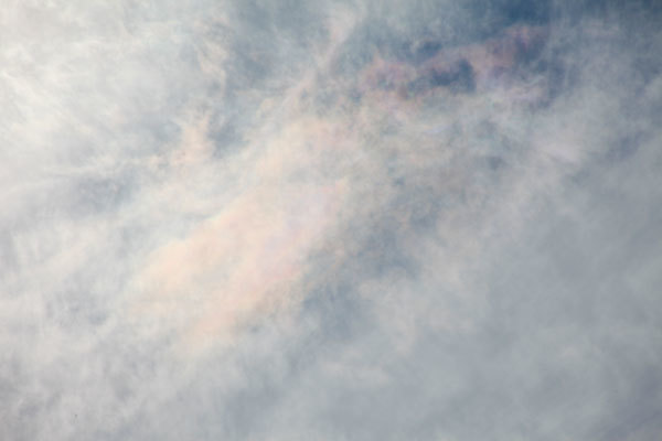 d0012237_17545750.jpg