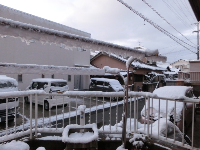 c0194042_233537.jpg