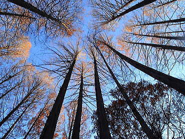 f0094843_16052001.jpg