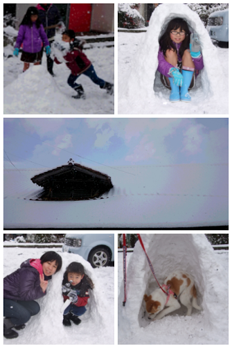 d0151154_1126337.png