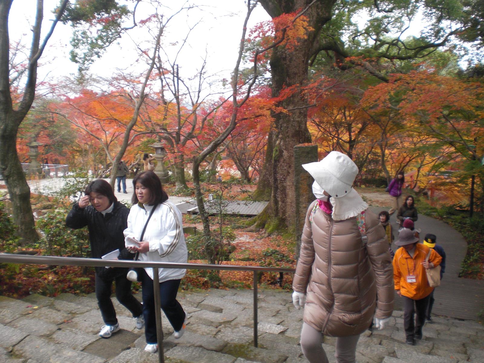 c0125356_12662.jpg