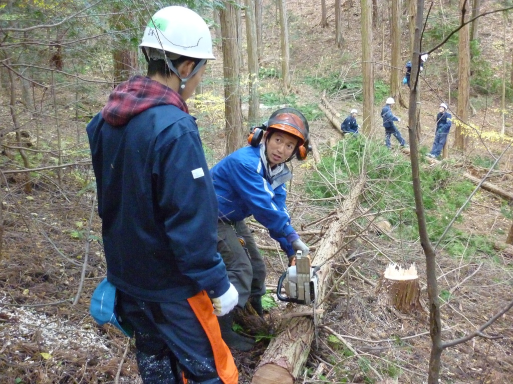 高校生の林業指導_a0254759_14161392.jpg