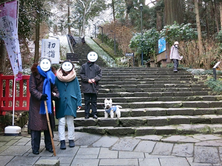 正月模様いろいろ_c0260460_16350039.jpg